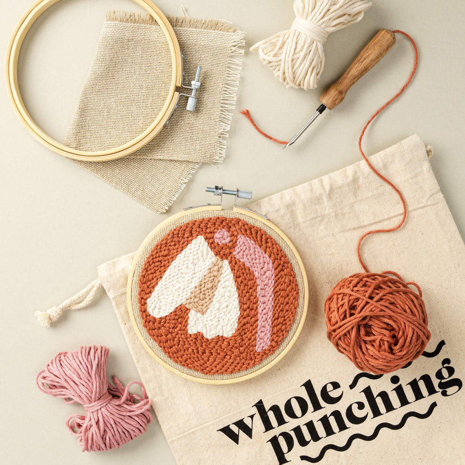 Punch Needle Kit Beginners, Punch Needle Embroidery Kits